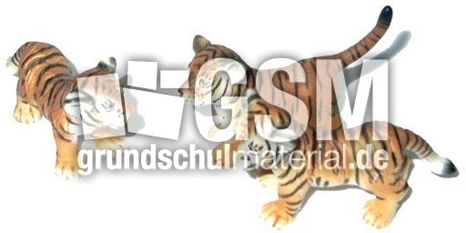 Tiger-1+2.jpg